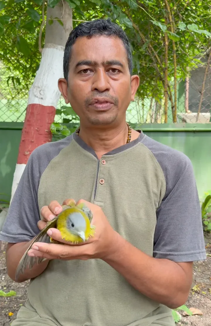 Ashish Goswami of PFA Wardha with a rescued animal