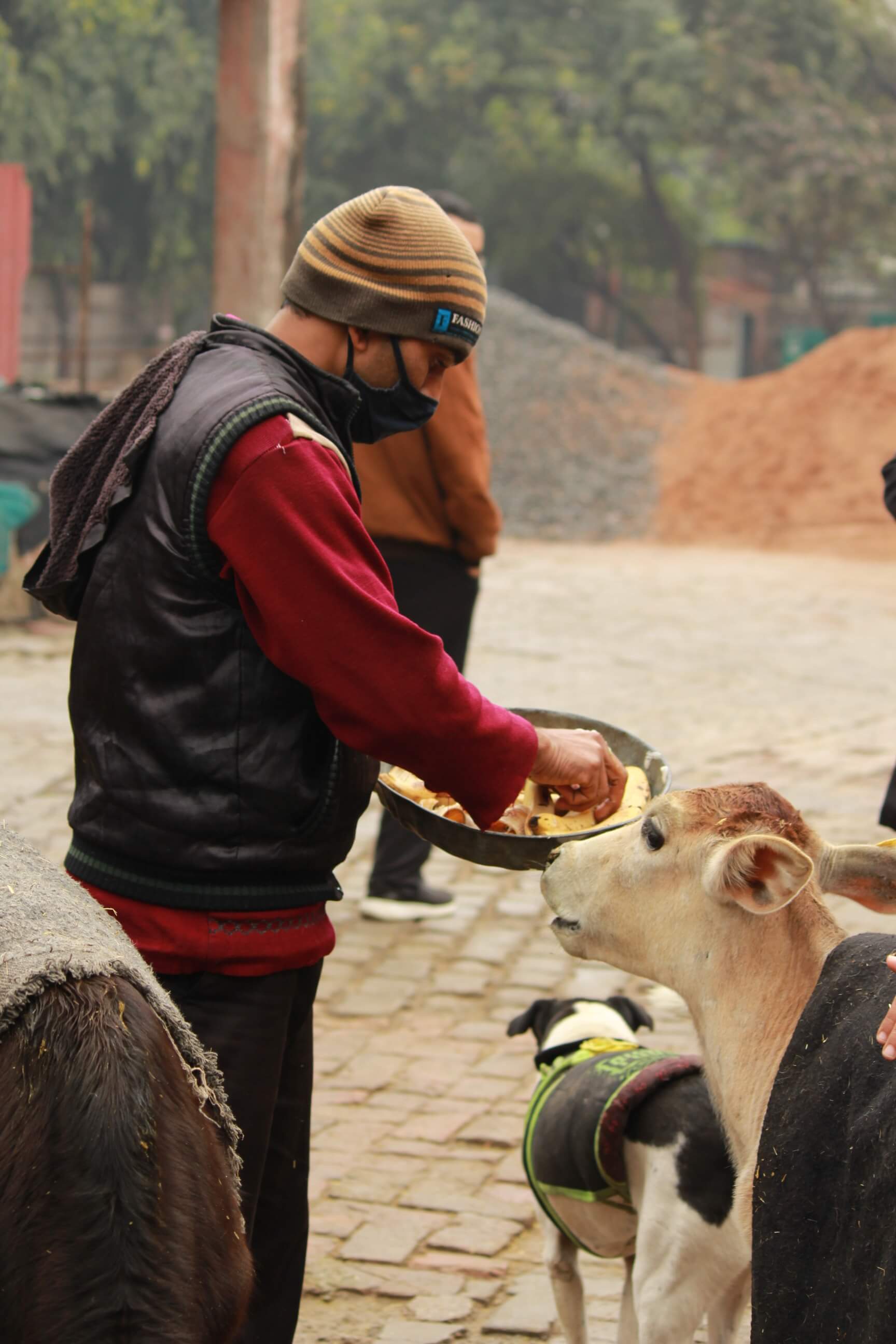 The Sanjay Gandhi Animal Care Centre