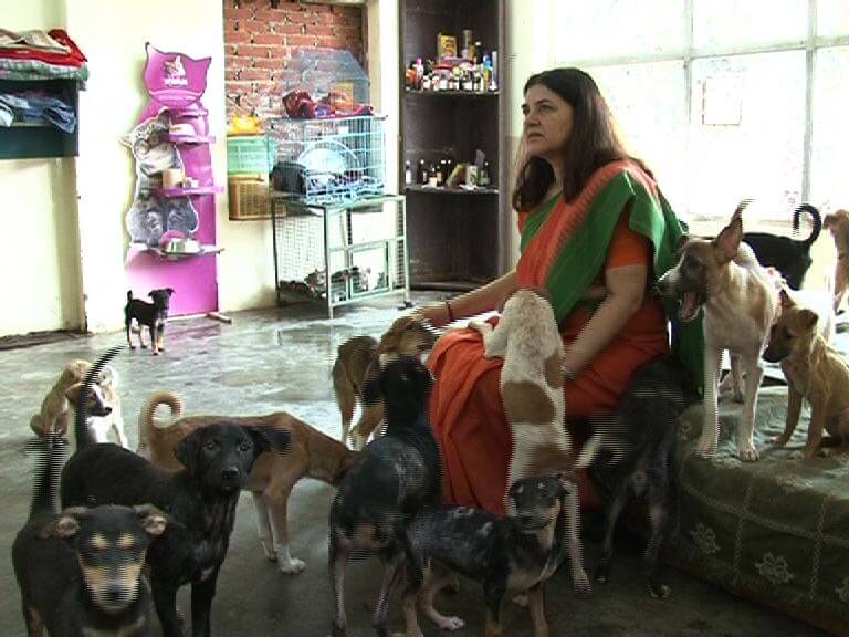 Treatment under way at a People for Animals centre